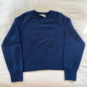 Everlane cashmere crewneck knit sweater